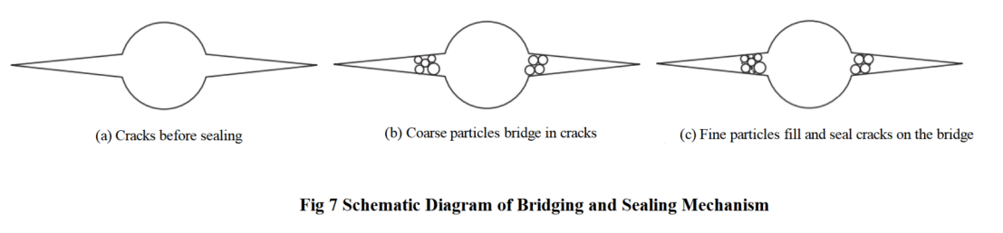 Fig 7.png